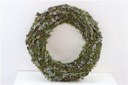 <h4>Wr Larix Moss 40cm Natural Branch</h4>