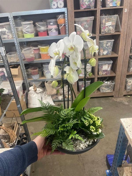 3053 X2 EBBI CASCADE