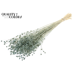 Lino Vlas per bunch in poly Intense Frosted Light Blue