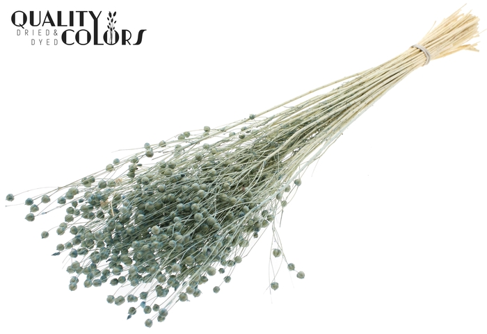 <h4>Lino Vlas per bunch in poly Intense Frosted Light Blue</h4>