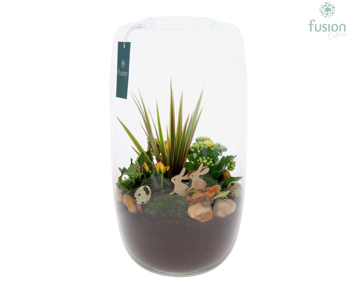 <h4>Green Bottle Isabella XXLarge Pasen met arrangement</h4>