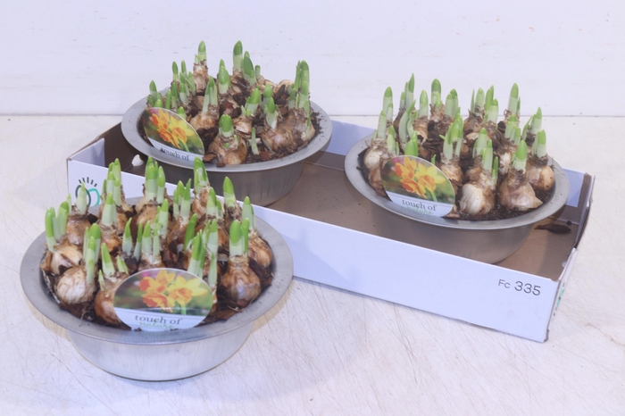 <h4>ARR N TETE A TETE</h4>