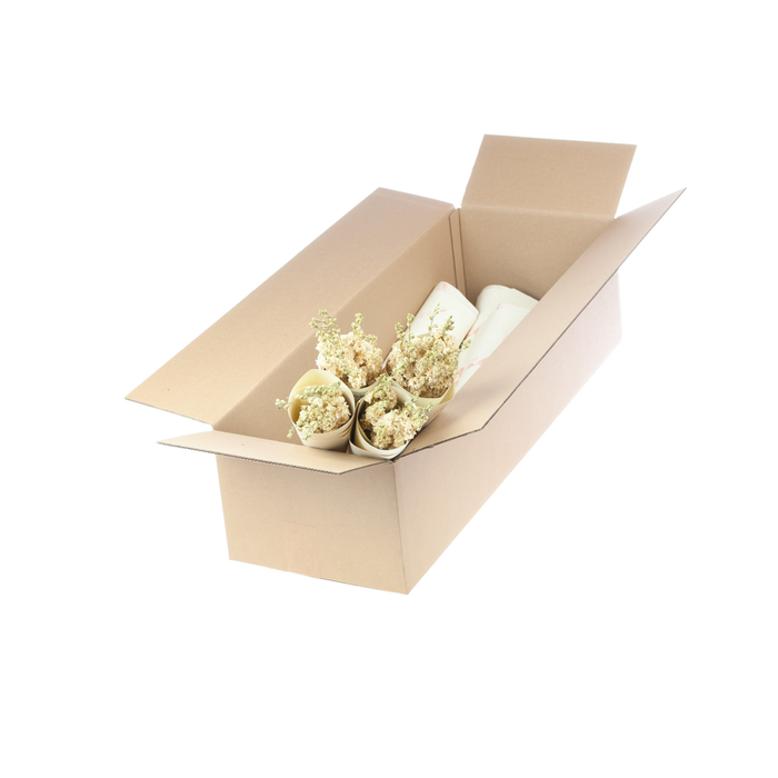 <h4>Delphinium nat. white</h4>