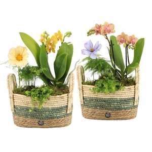 11600: Consideration arrangement