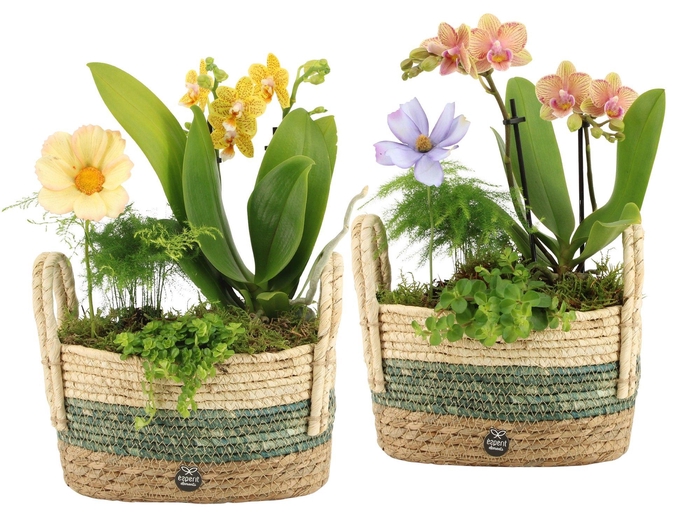 <h4>11600: Consideration arrangement</h4>