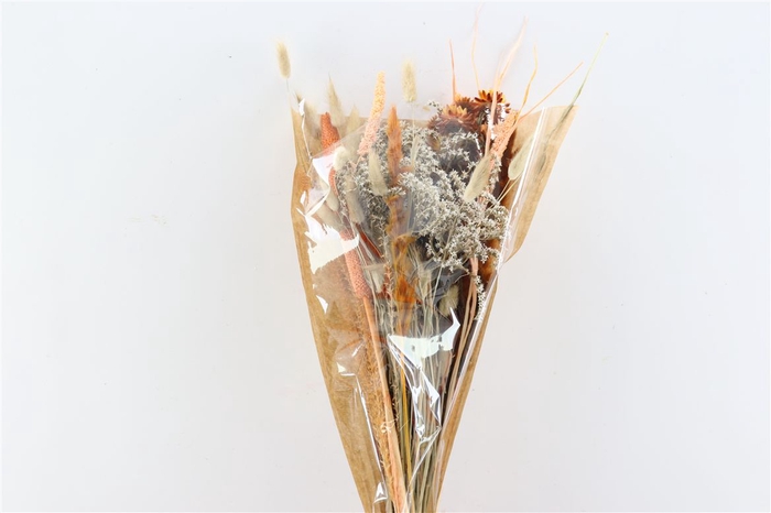 <h4>Dried Bouquet Zaragoza</h4>