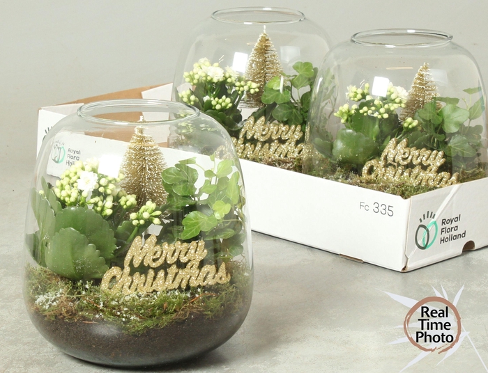 <h4>ARR KAMERPL</h4>