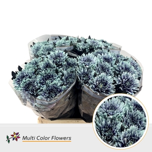 Chr G Undercover After Eight