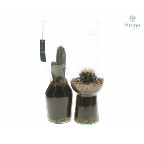 <h4>Green Bottle Man en Vrouw Large met Cactussen</h4>