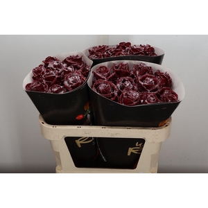 Wax-Rozen Wax Wit  Zilver glitter