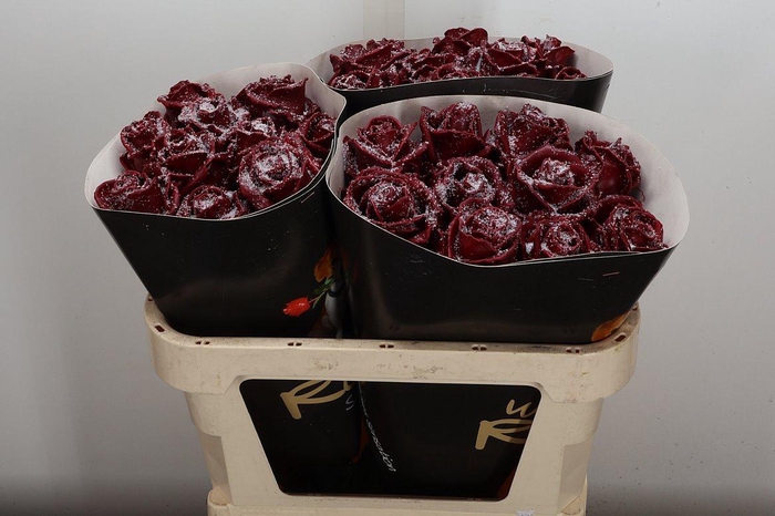 <h4>Wax-Rozen Wax Wit Zilver glitter</h4>