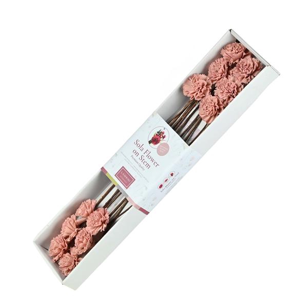 <h4>Sola Carnation 6cm O/s 12pc Light Pink</h4>