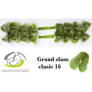 ANTH A GRAND SLAM CLASSIC 16