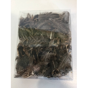 PLUIM KIP NATURAL 3GR