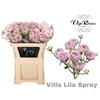 R TR VILLA LILA
