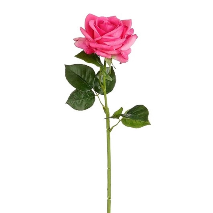 <h4>Rosa real touch 65cm</h4>