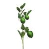 Lemon sinensis spray x3 green 74cm