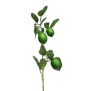 Lemon sinensis spray x3 green 74cm