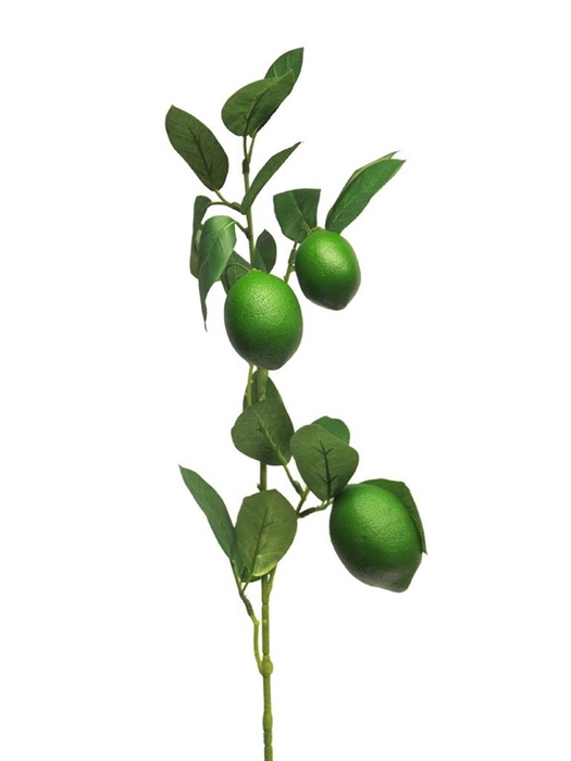 <h4>Lemon sinensis spray x3 green 74cm</h4>