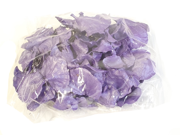 <h4>Golden mushroom 100gr in poly pearl purple</h4>