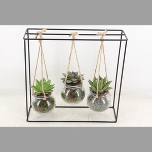 arr2 MB - Ijzer rek 3 hangbol