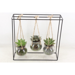 arr2 MB - Ijzer rek 3 hangbol black