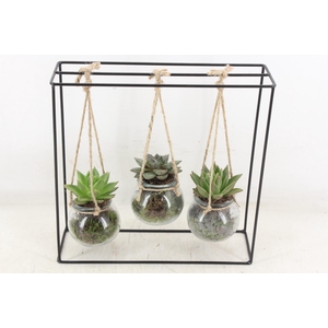 arr2 MB - Ijzer rek 3 hangbol