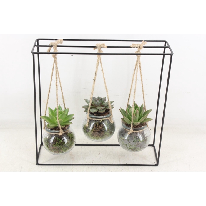 <h4>Arr2 Mb - Ijzer Rek 3 Hangbol</h4>