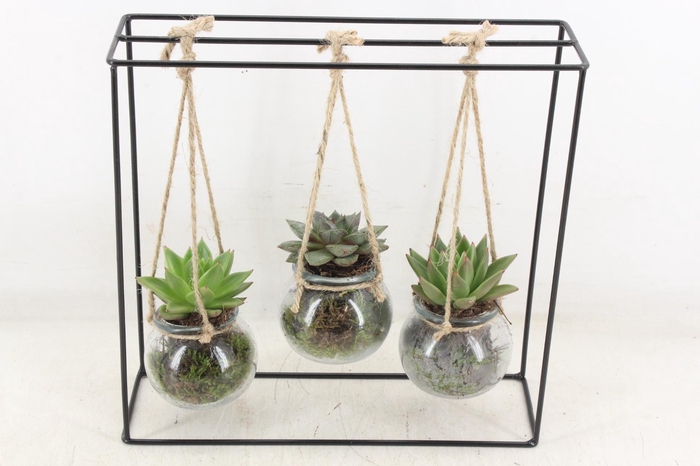 <h4>arr2 MB - Ijzer rek 3 hangbol black</h4>