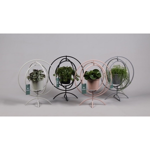 Globe metaal 4 kleuren Large met Groene Planten