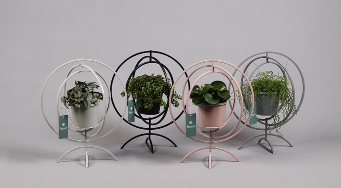 <h4>Globe metaal 4 kleuren Large met Groene Planten</h4>