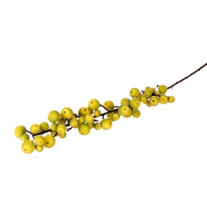 STEM APPLE SENTINEL L135 green