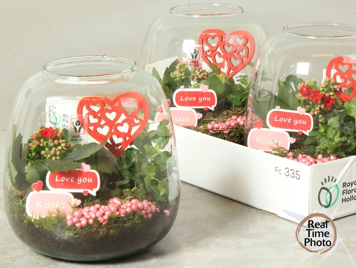 <h4>ARR KAMERPL</h4>