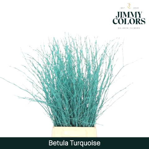 <h4>Betula L60 Turquoise</h4>
