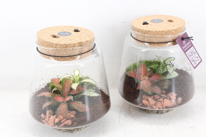 <h4>arr3 WR - Mercurius small+led recharge</h4>