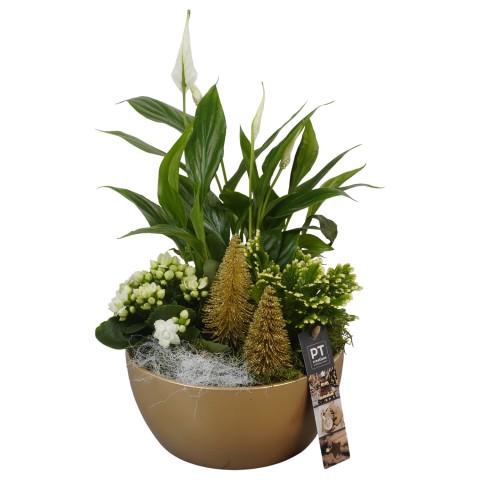 <h4>PTCHG5607 Arrangementen Kerst</h4>