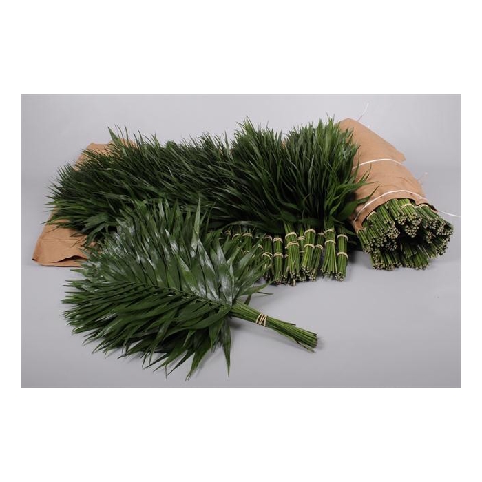 <h4>CHICO DORO ROLLS</h4>