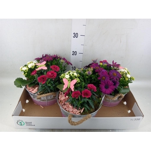Arr.   Tuinplanten L%