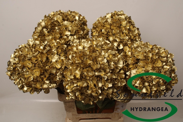 <h4>HYDR OV KLB H%</h4>