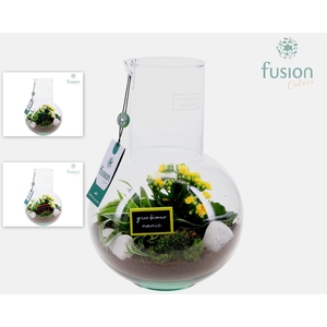 Green Bottle Suzanne Medium met Grootmoederdag arrangement