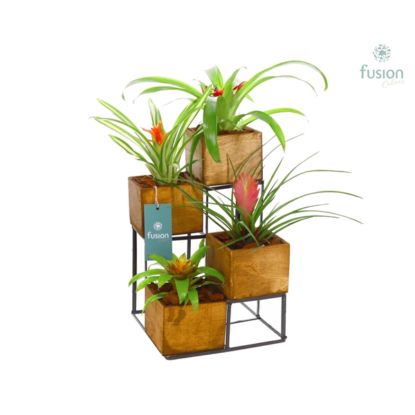 <h4>Tower hout met metaal met Bromelia</h4>