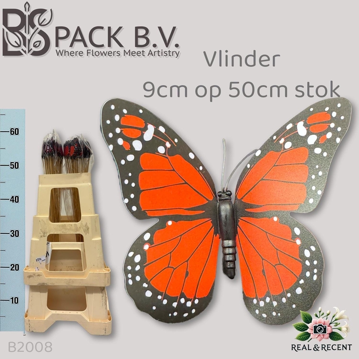 <h4>HUIS EN TUINDECO H%</h4>