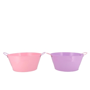 Zinc Basic Lila/pink Ears Bowl 30x14cm Nm