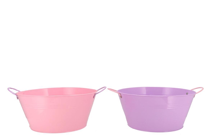 <h4>Zinc Basic Lila/pink Ears Bowl 30x14cm Nm</h4>