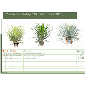 Yucca mix trolley C10 (GIP Choice 2026) (MG26174)