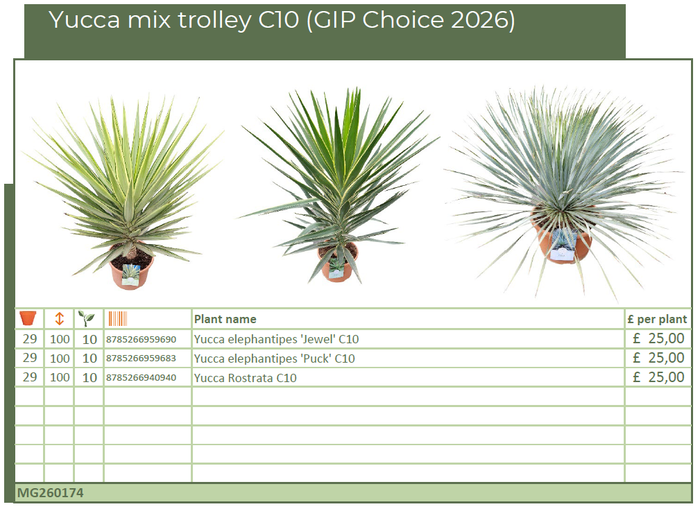 <h4>Yucca mix trolley C10 (GIP Choice 2026) (MG26174)</h4>