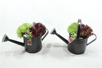 <h4>SE35 DRINKSCHAAL LUXE X3</h4>
