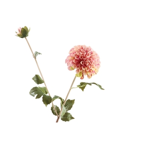 Dahlia Spray Pink