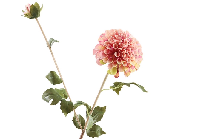 <h4>Dahlia Spray Pink</h4>