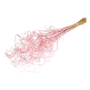 Curly Ting Ting (palm) 100pc Pink Misty